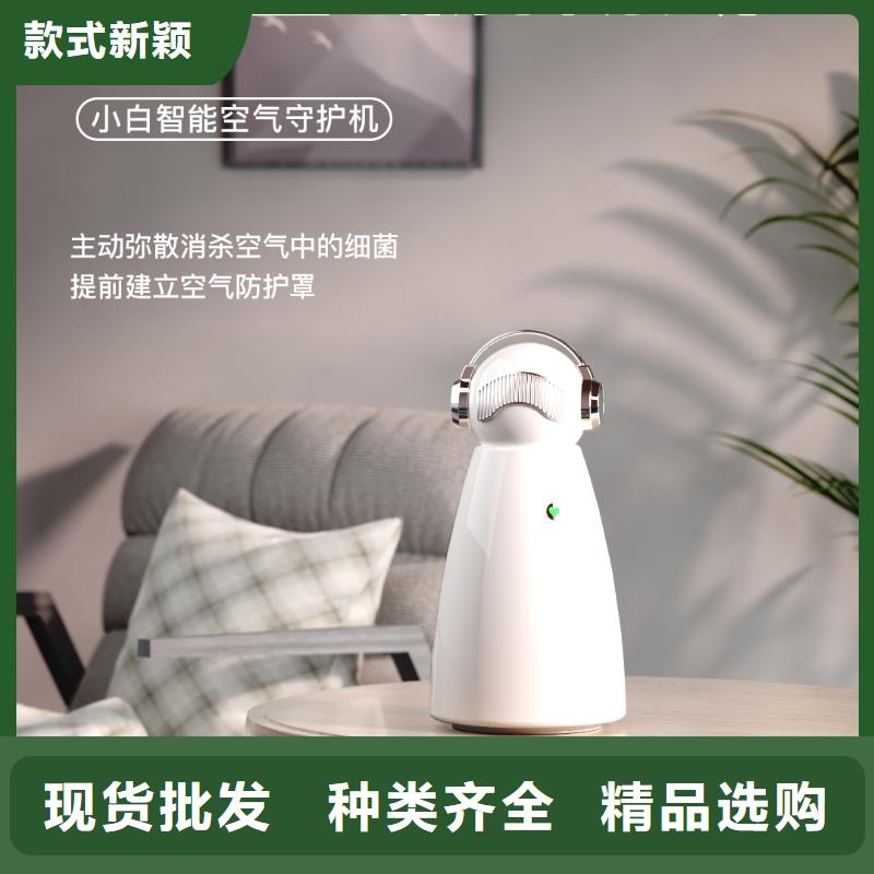 空气净化器-小白祛味王价格品类齐全