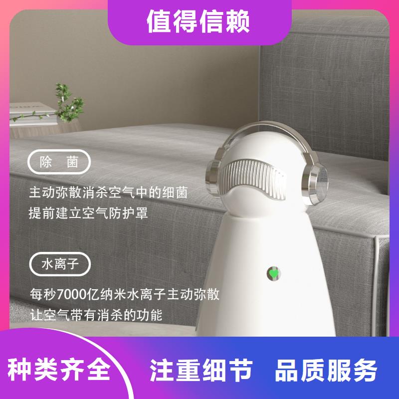 空气净化器-小白祛味王价格品类齐全