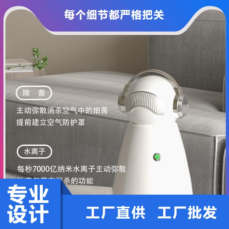 【深圳】室内除甲醛定制厂家小白祛味王