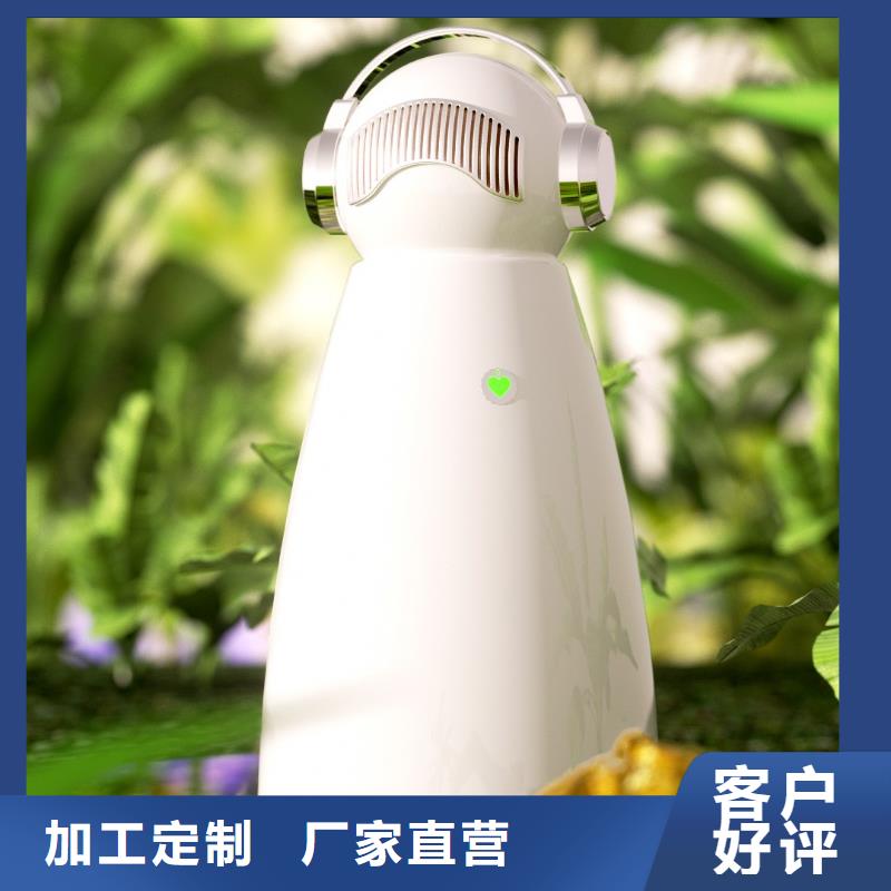 【小白祛味王货到付款】