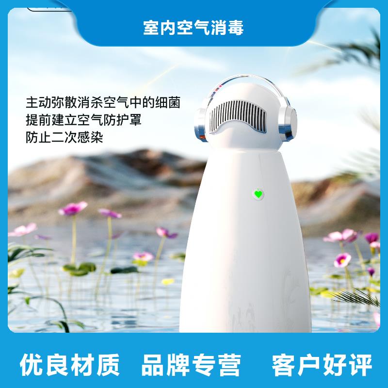 艾森智控_小白祛味王现货批发
