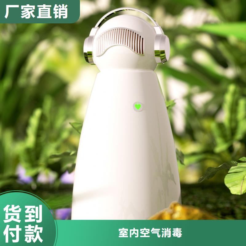 艾森智控_小白祛味王现货批发