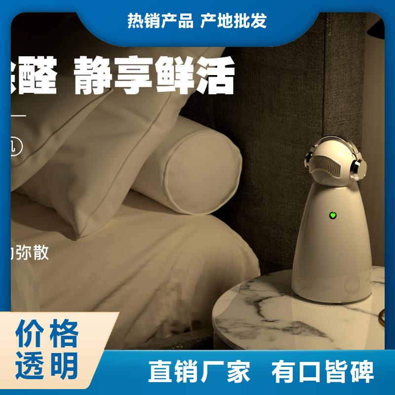 【艾森智控_车载空气净化器生产厂家颜色尺寸款式定制】