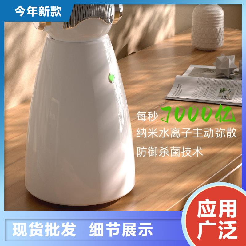 【艾森智控_车载空气净化器生产厂家颜色尺寸款式定制】