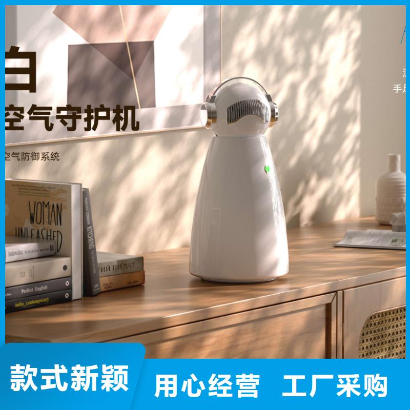 艾森智控_小白祛味王现货批发