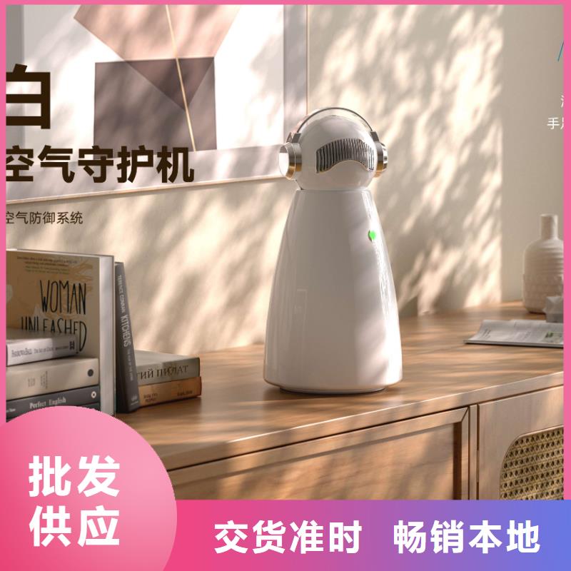 【艾森智控_车载空气净化器生产厂家颜色尺寸款式定制】