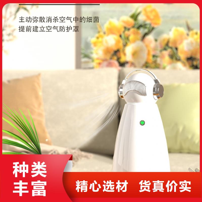 艾森智控【小白祛味王】可定制有保障