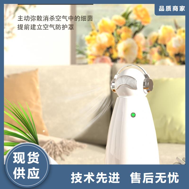 【艾森智控_车载空气净化器生产厂家颜色尺寸款式定制】