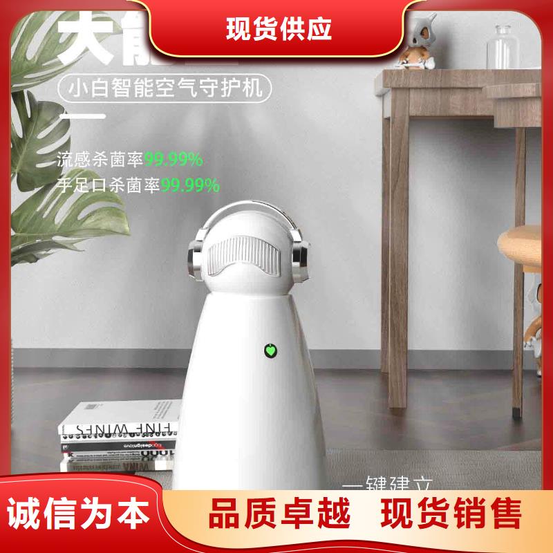 【小白孕妇空气守护机】【车载空气净化器】拒绝中间商