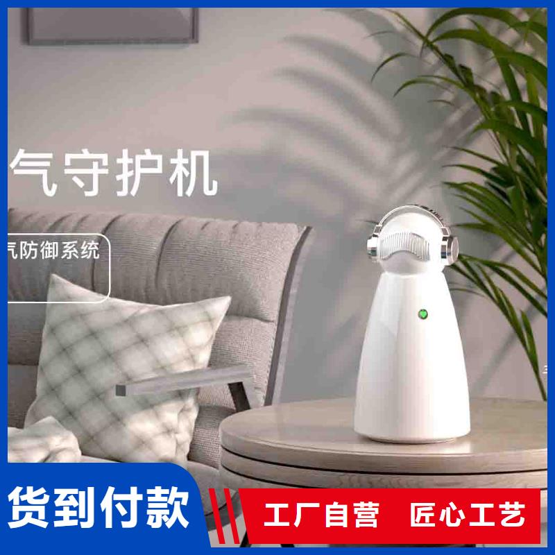 小白孕妇空气守护机_车载空气净化器厂家设计制造销售服务一体