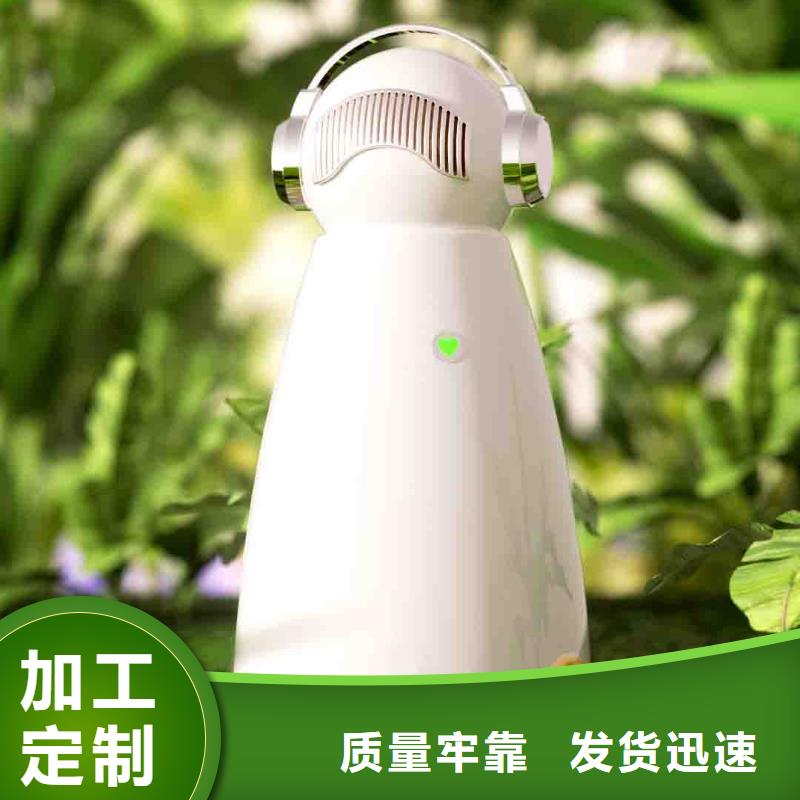【小白孕妇空气守护机】【车载空气净化器】拒绝中间商