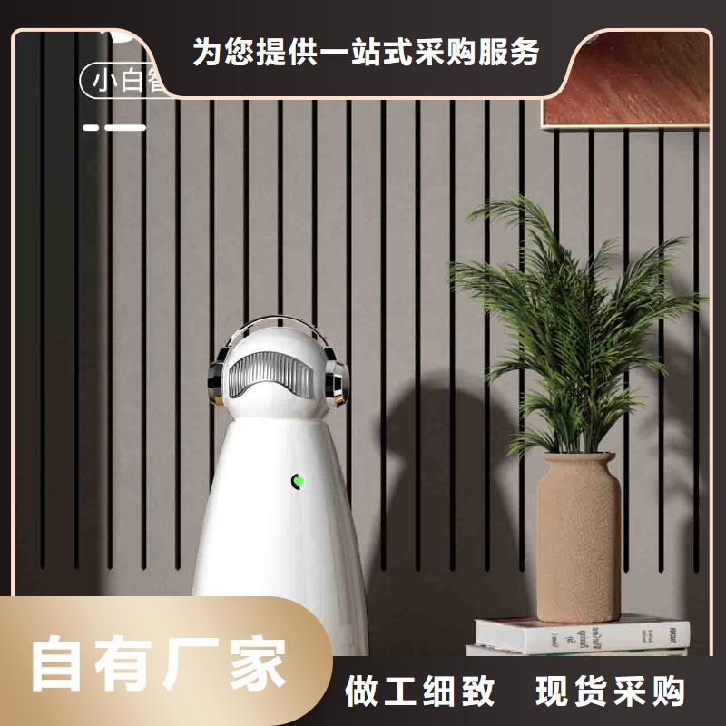 小白婴儿空气守护机供应智能空气净化器多家仓库发货