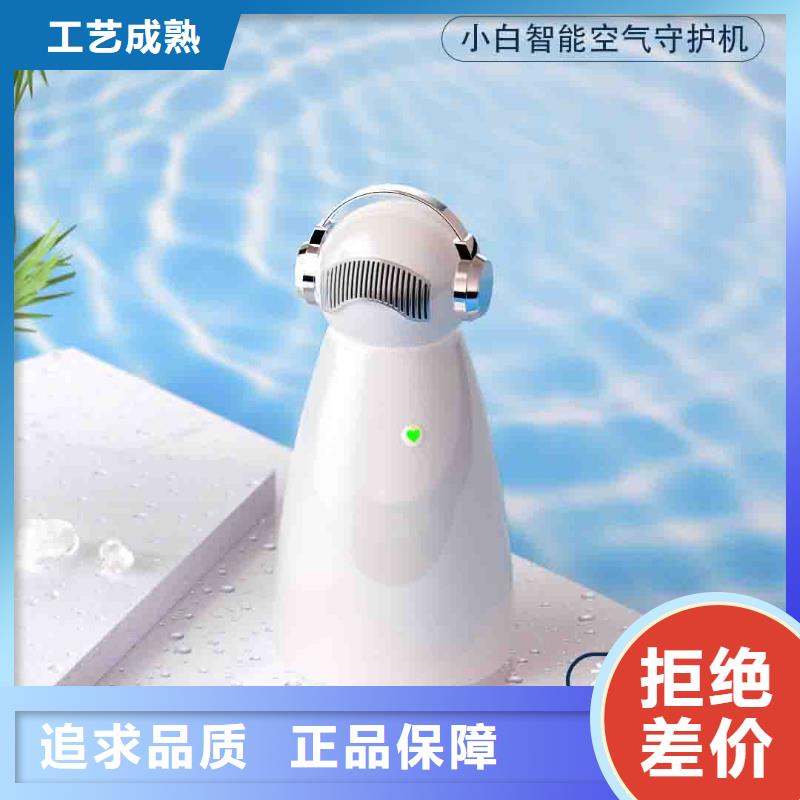 【小白婴儿空气守护机】车载空气净化器价格快捷的物流配送