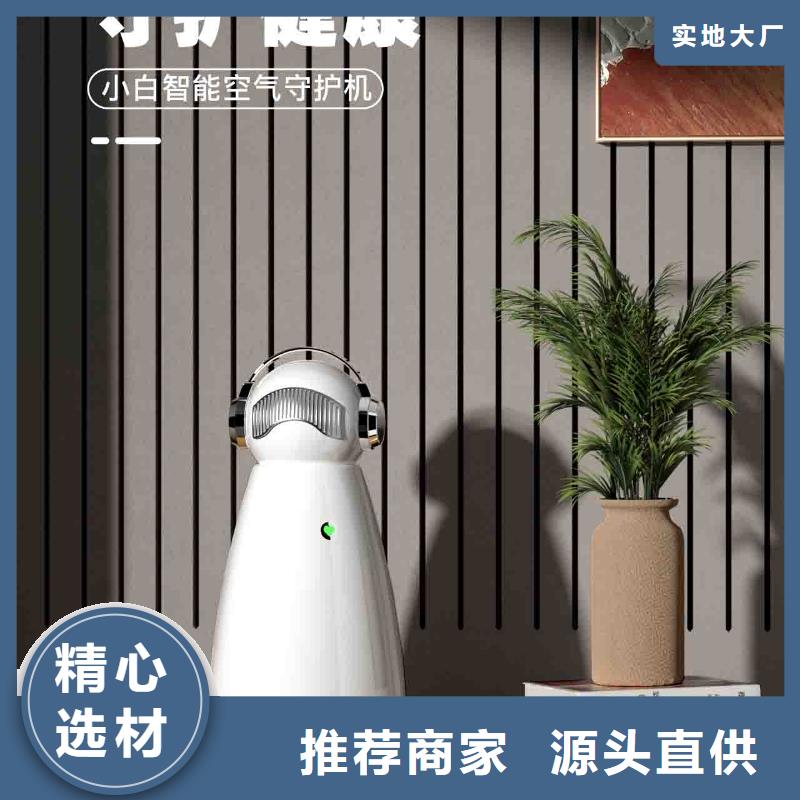 小白空气守护机空气消毒机供应多种规格供您选择