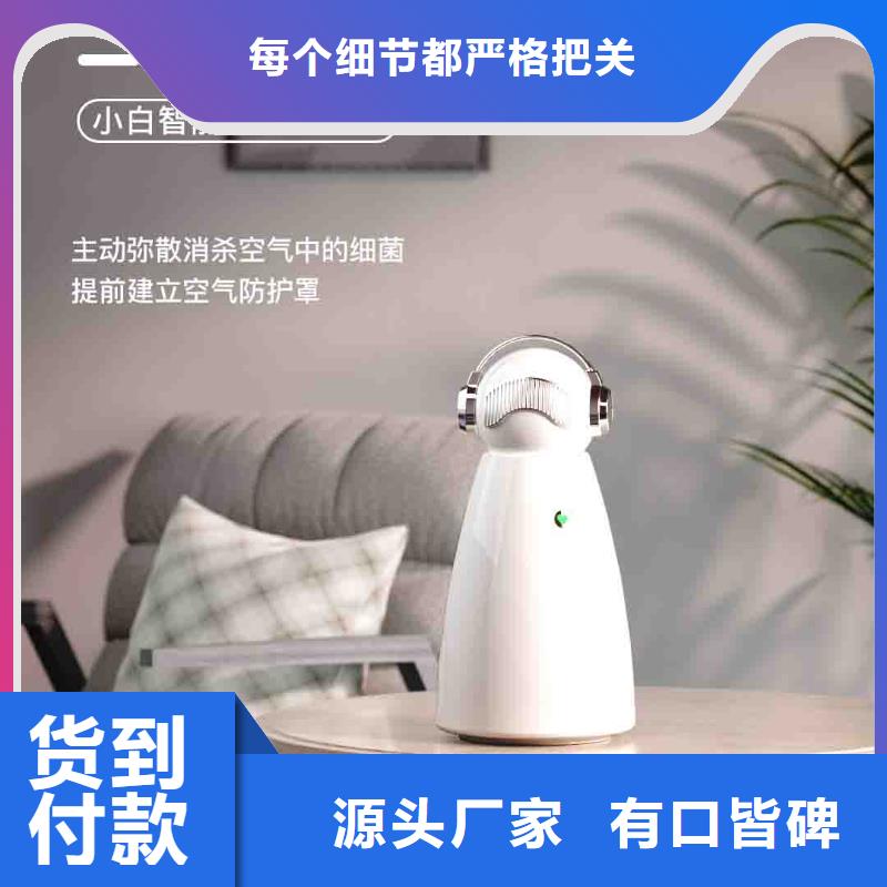 小白空气守护机【生产小白空气守护机器人】产品细节