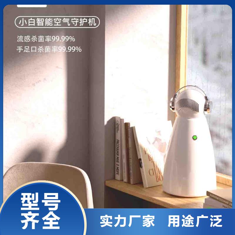 小白空气守护机【生产小白空气守护机器人】产品细节