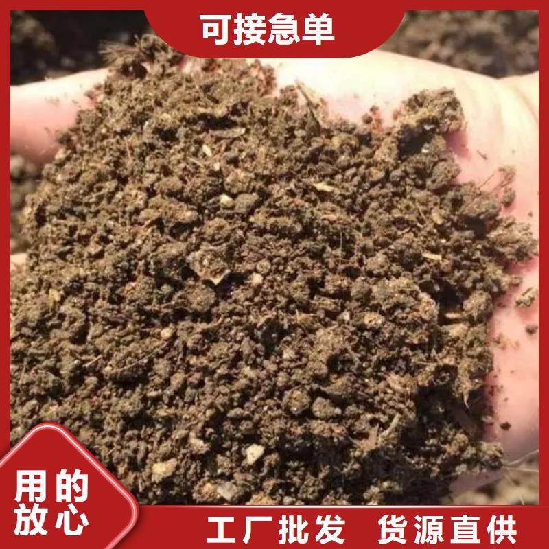 鸡粪稻壳粪现货快速采购