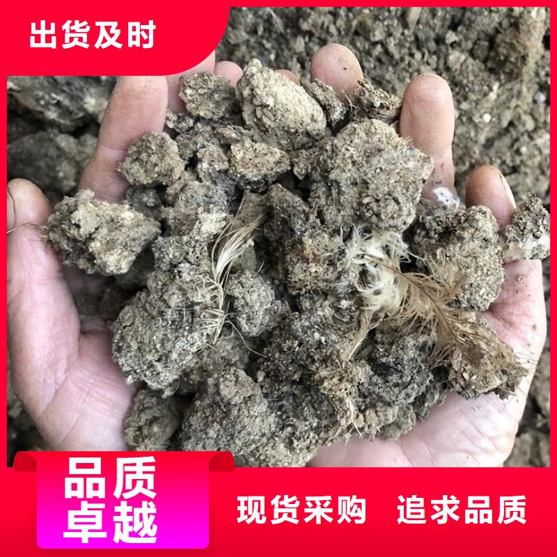 三沙市晒干鸡粪免费咨询