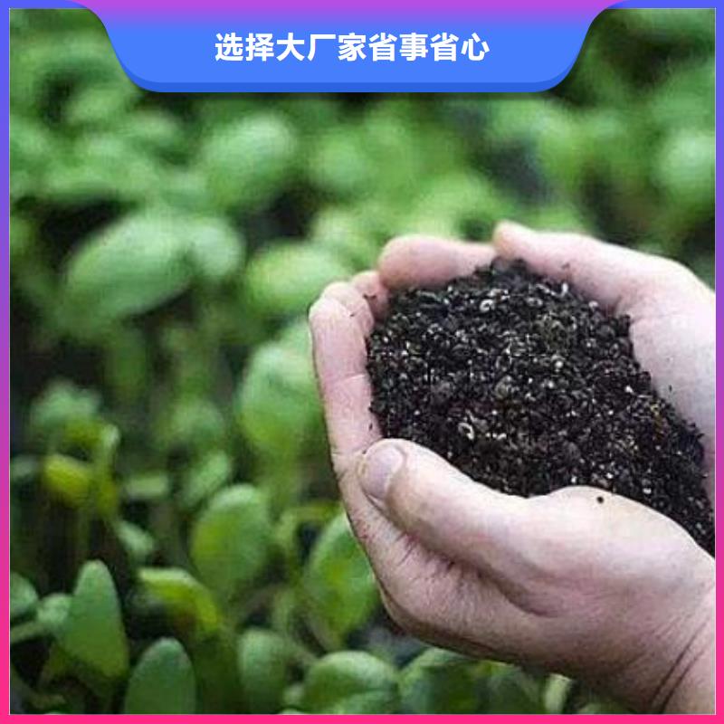 干鸡粪强力
