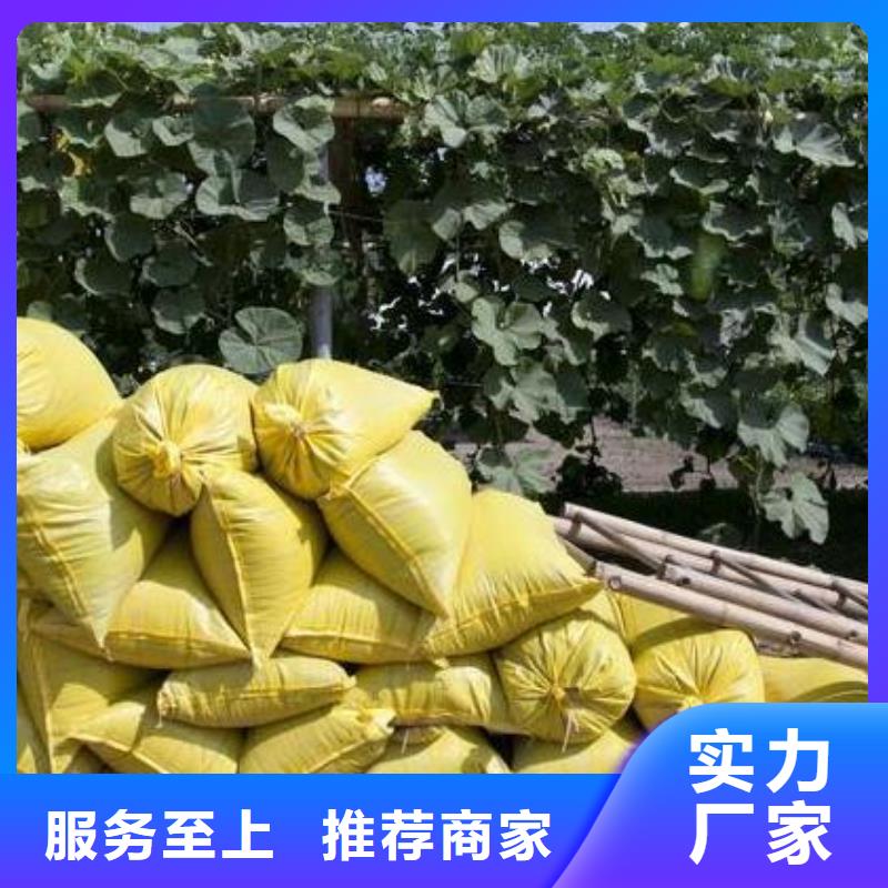 干鸡粪强力