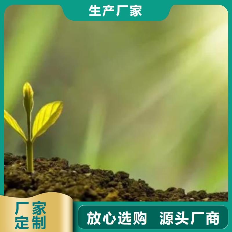 干鸡粪块批发价是多少