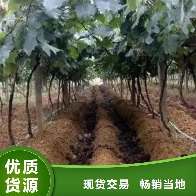 肥水鸡粪用着合适