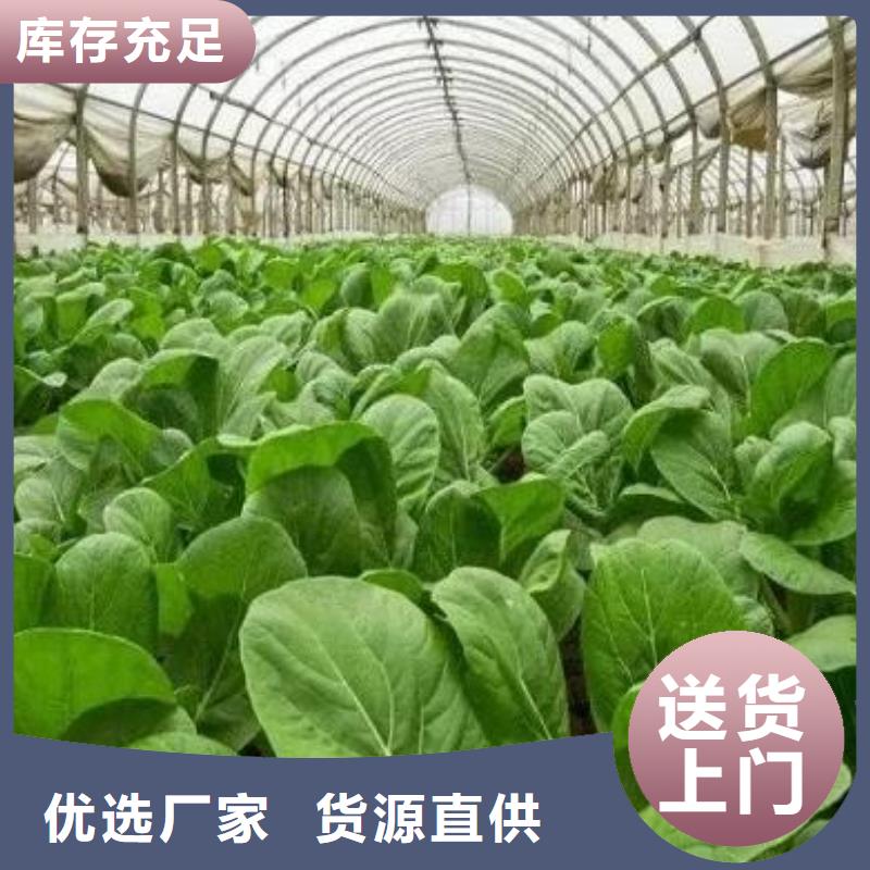 肥水鸡粪用着合适