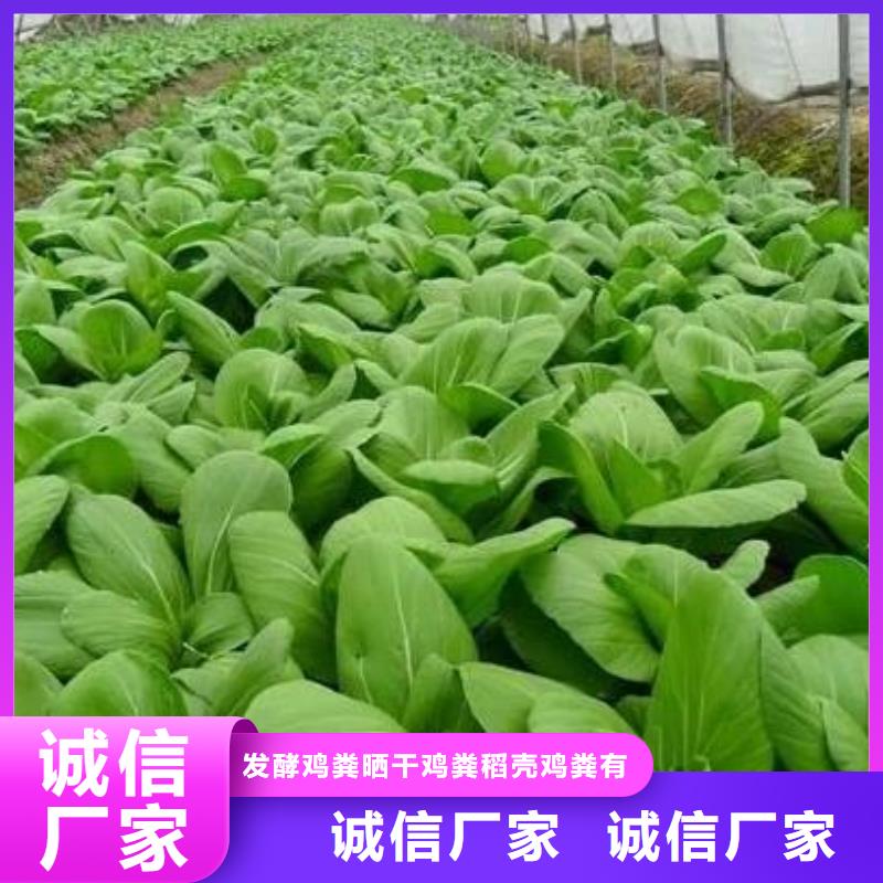 肥水鸡粪用着合适