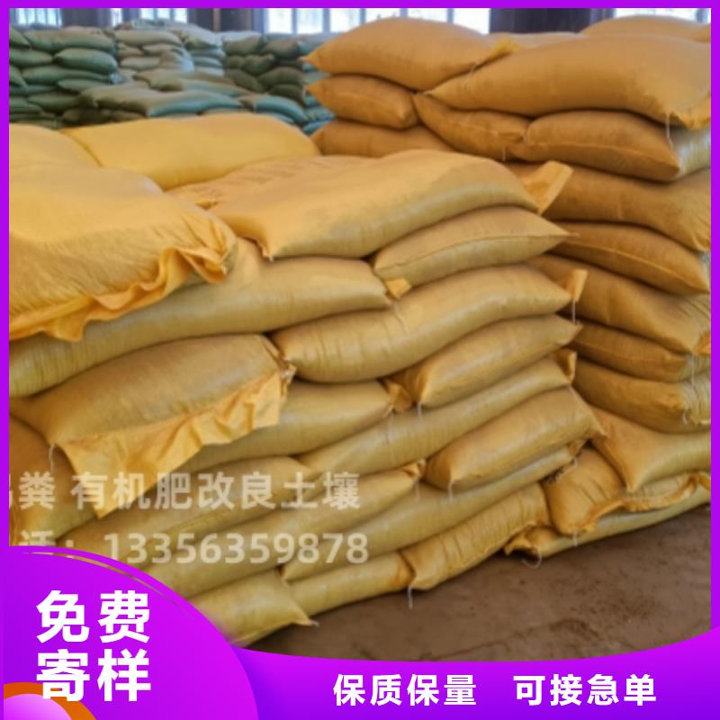 干鸡粪强力
