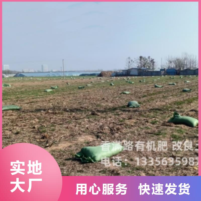 干鸡粪强力