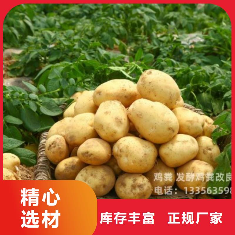 连锁淄博博山晒干鸡粪
