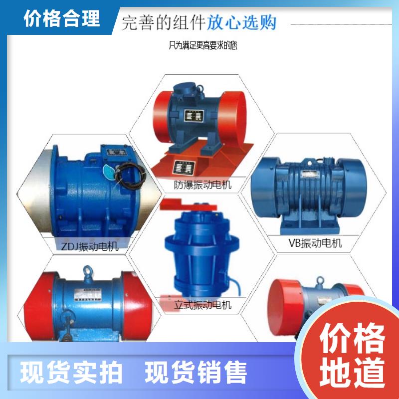姜堰BZF-20仓壁振动器全国配送