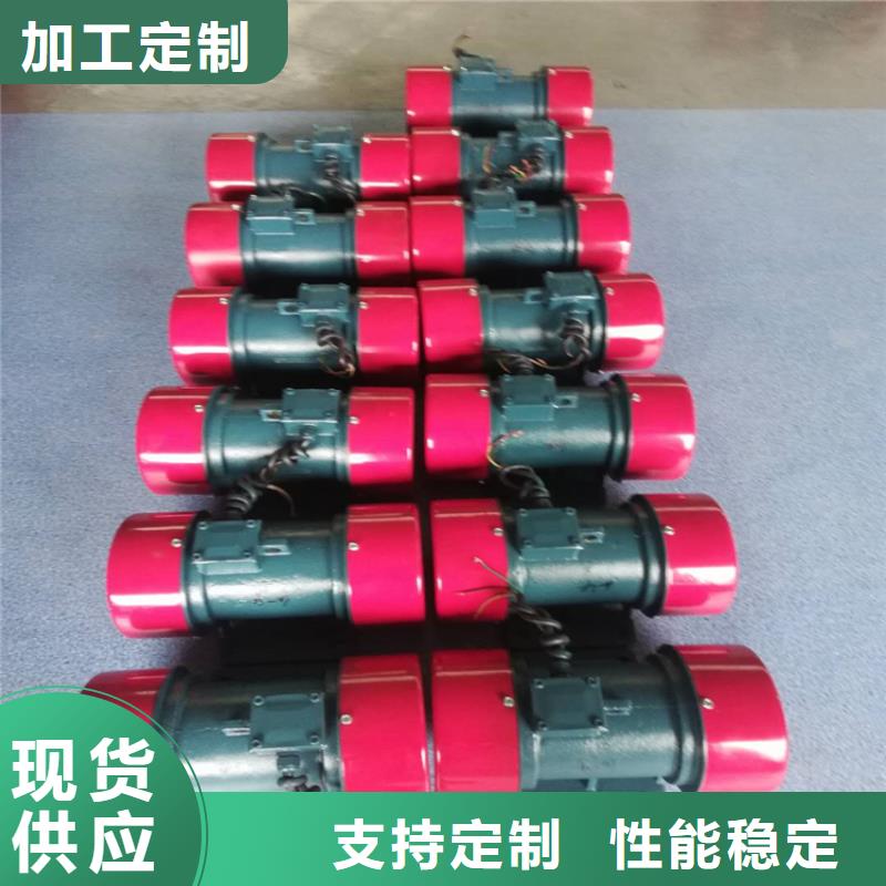 潼南平板式混凝土振动器