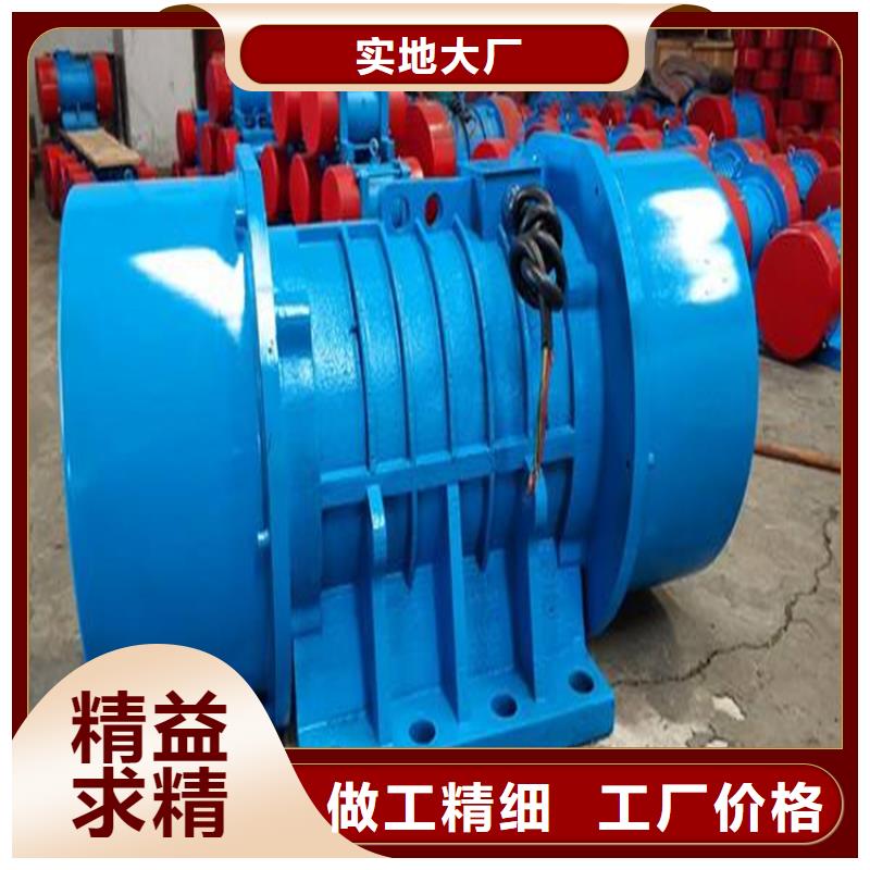 振动台专用振动电机发货快