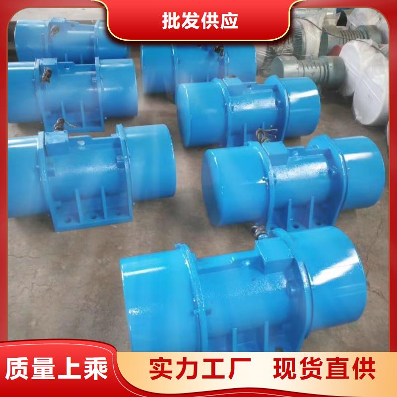 潼南平板式混凝土振动器