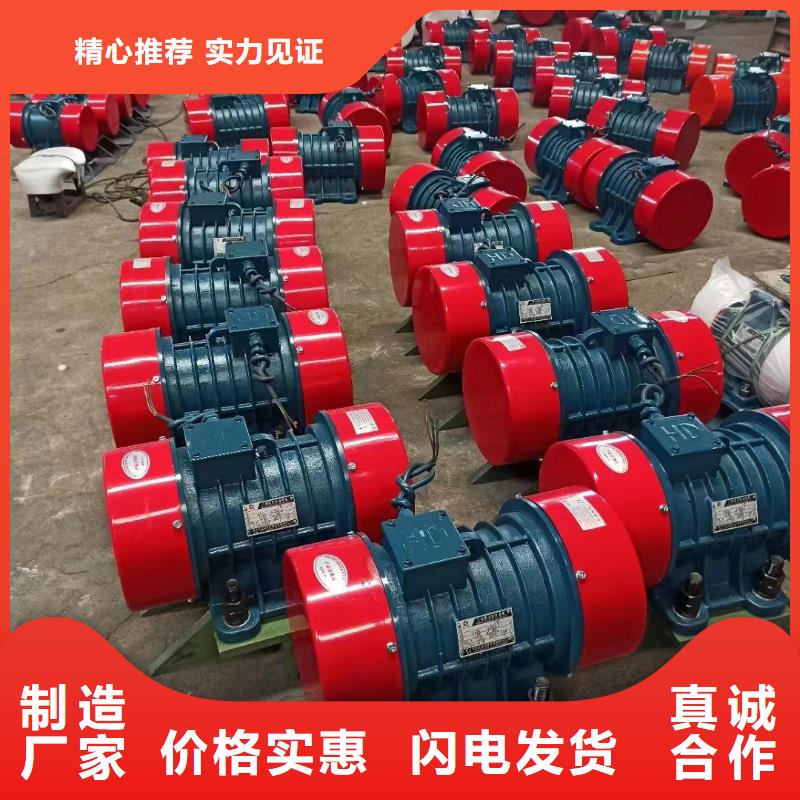 振动电机平板振动器每一处都是匠心制作