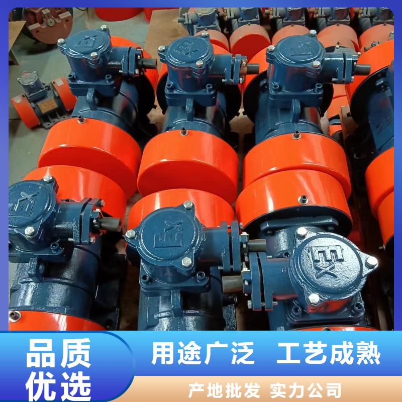 潼南平板式混凝土振动器