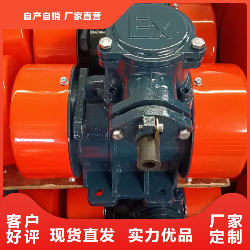 XVM16-4振动电机0.75KW防爆型振动电机维修