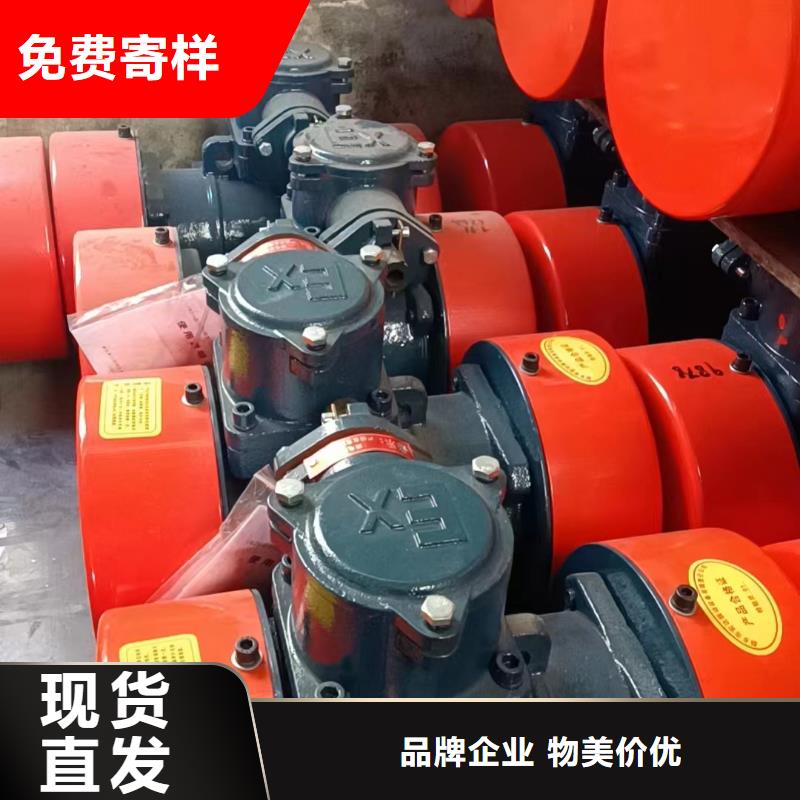 防爆型振动电机卧式防爆振动电机保养