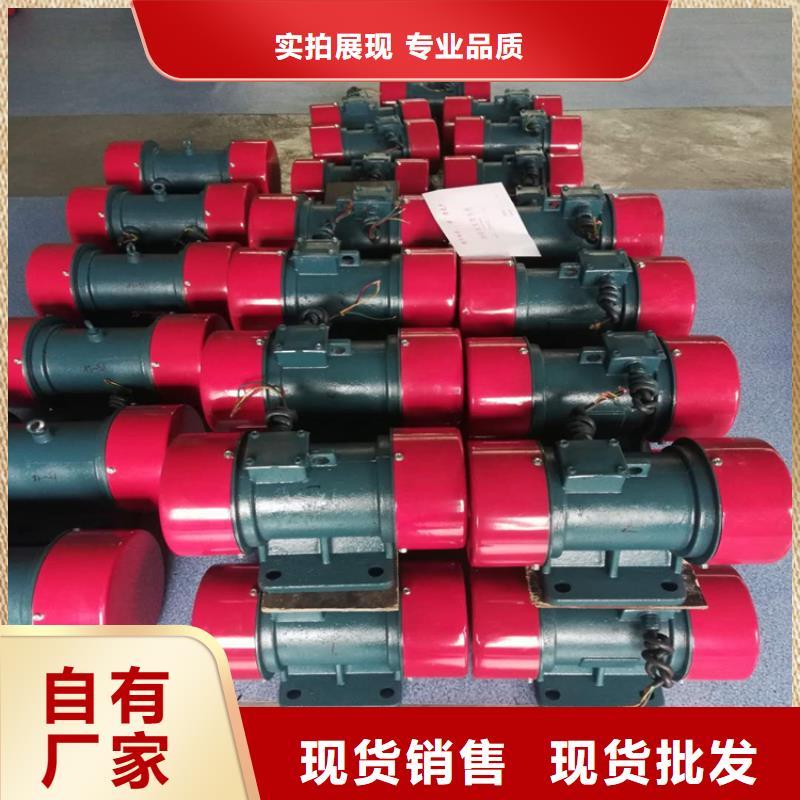 防爆振动电机振动平台多年实力厂家