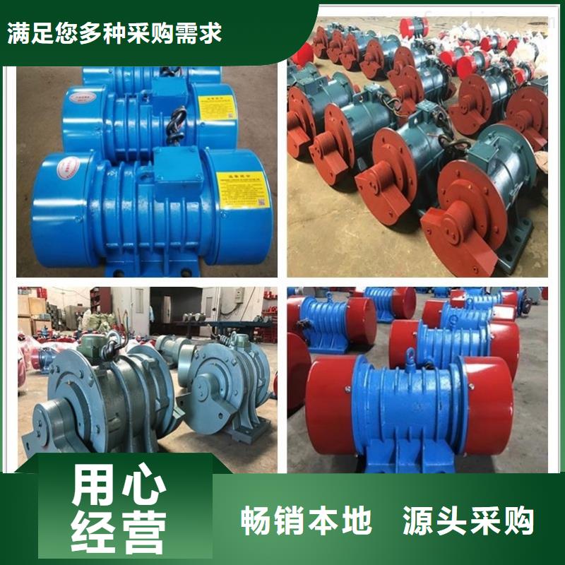 TZD11-2C振动电机真正的厂家货源