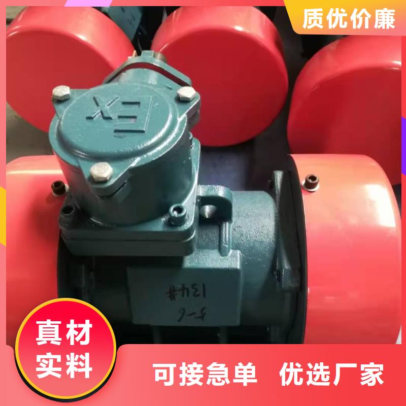BZD-2.5-6防爆型振动电机购买