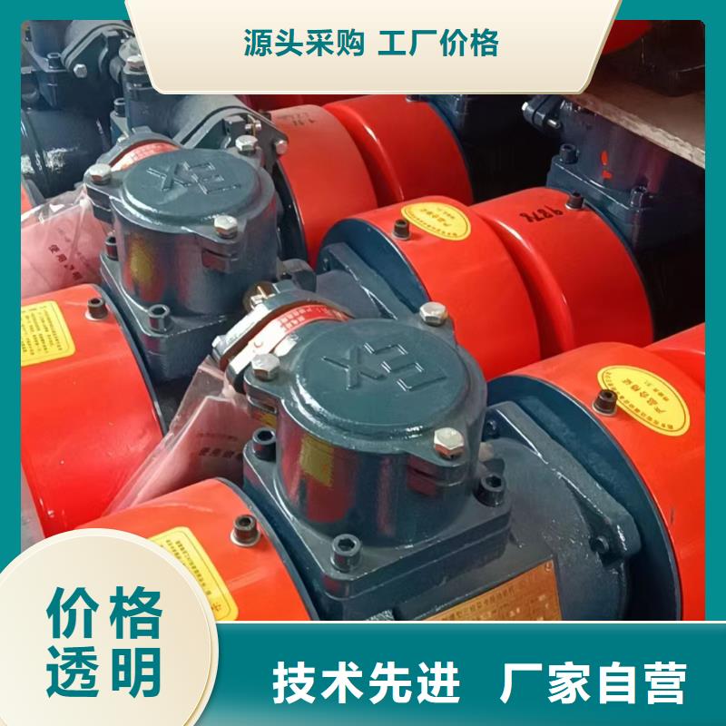 防爆振动电机厂家精致工艺