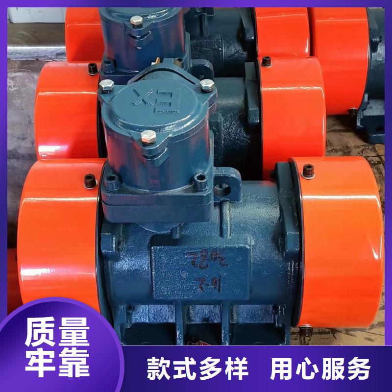 防爆振动电机-振动筛分设备用的放心