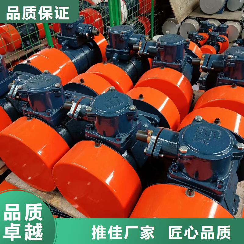 YBZQ-20-6防爆振动电机施工团队