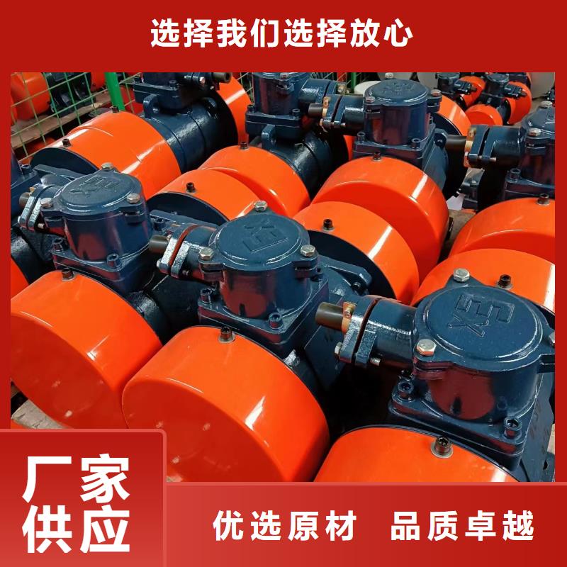 BZD-8-4防爆振动电机公司