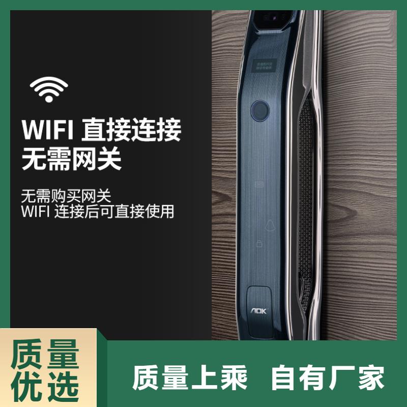 智能锁人脸识别智能锁公司长期供应