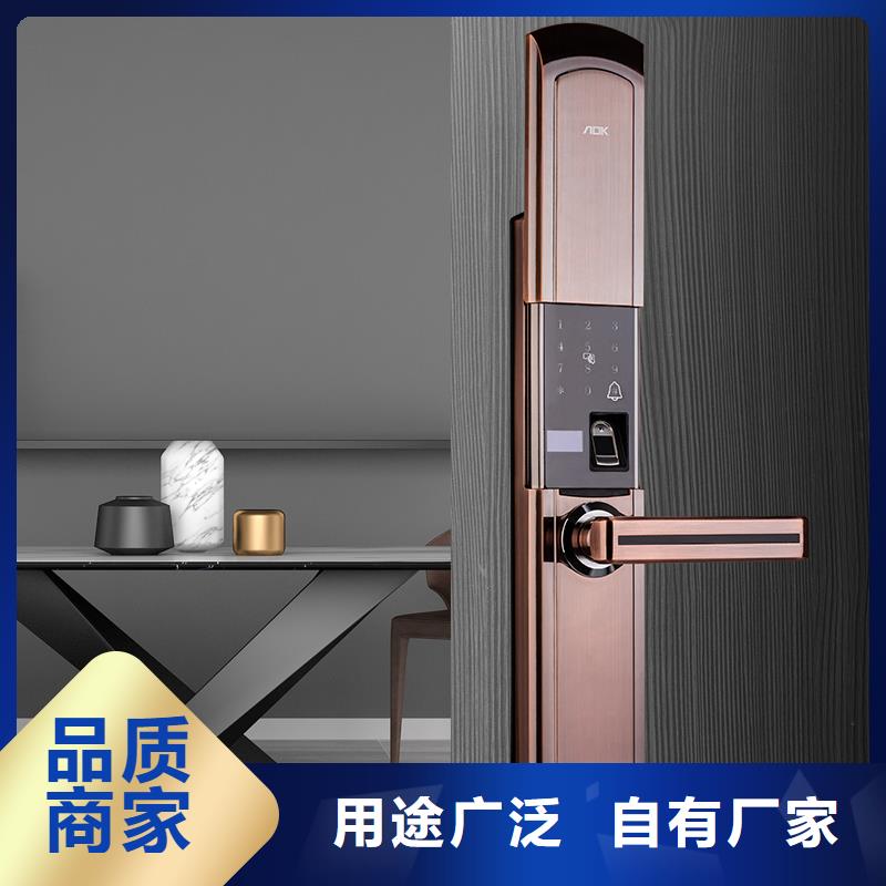 爱迪凯可视智能锁安装