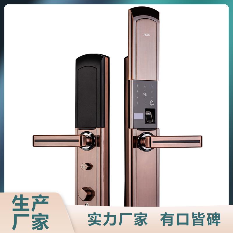 爱迪凯人脸识别智能锁那个牌子好