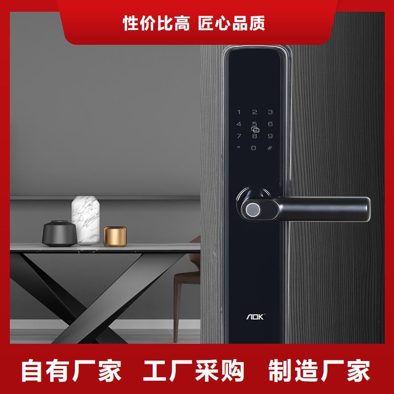 智能锁人脸识别智能锁公司长期供应